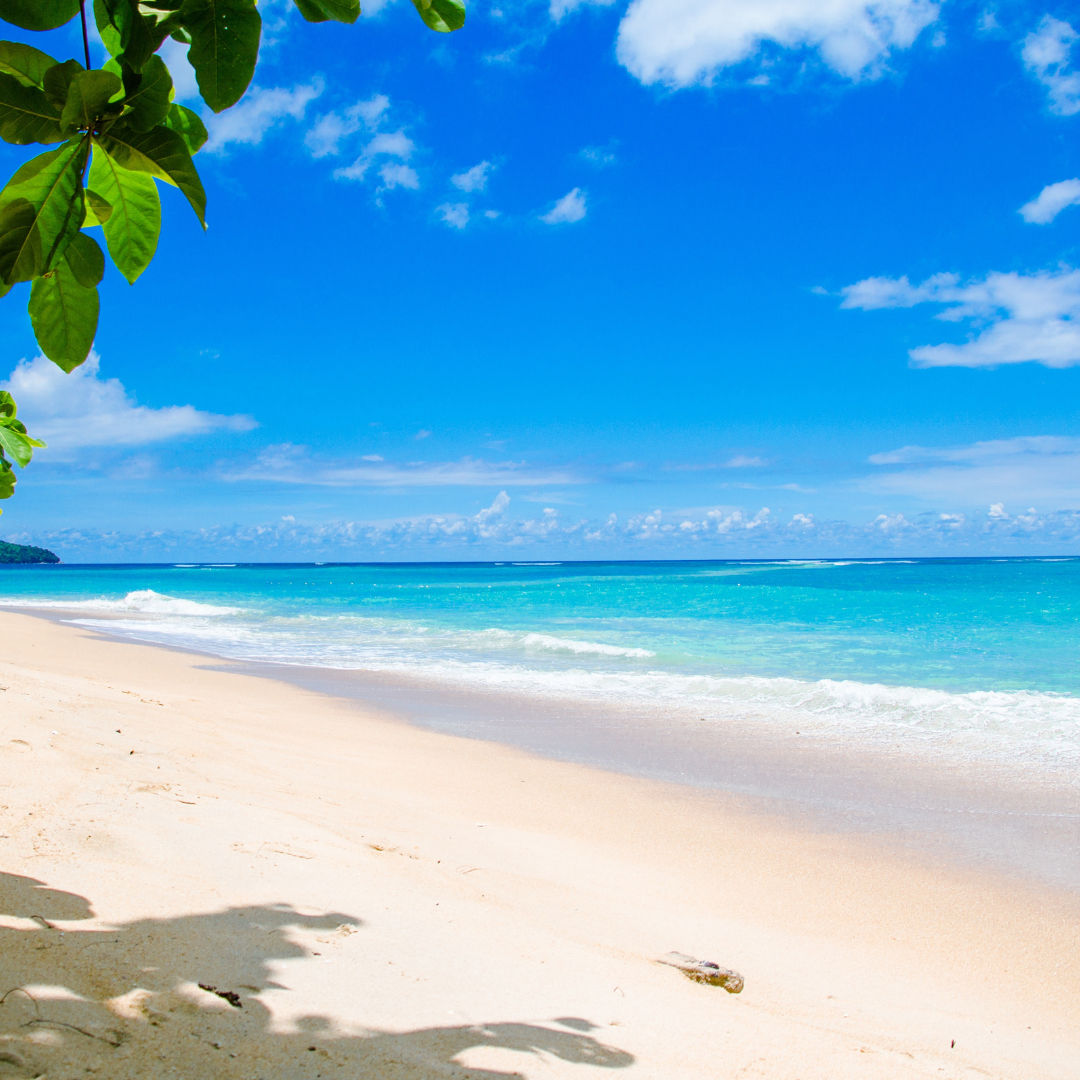 Playas de lujo
